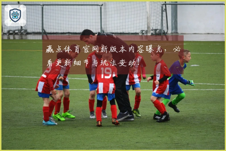 赢点体育官网新版本内容曝光，必看更新细节与玩法变动！