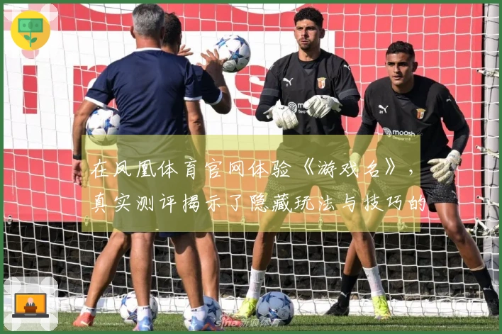 在凤凰体育官网体验《游戏名》，真实测评揭示了隐藏玩法与技巧的秘密
